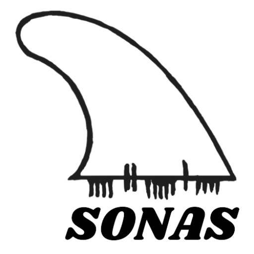 SONAS SURF COACHING